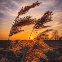 Lesen LED Bilder Bewertungen